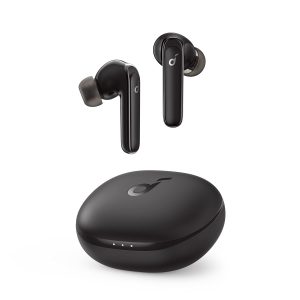 Anker Soundcore R50i Earbuds