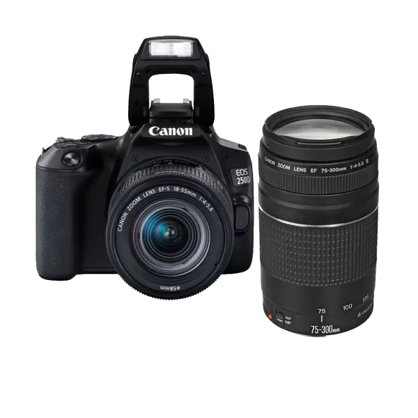 Canon EOS 250D 18-55mm Camera