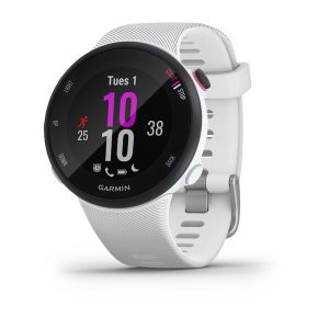 Garmin Forerunner 45S Watch