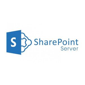 Microsoft SharePoint Server 2019 Enterprise SNGL OLP NL UsrCAL