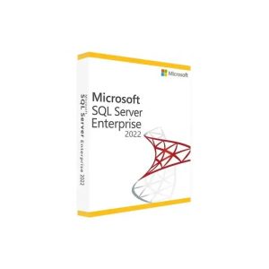Microsoft SQL Server 2022 Enterprise 2 Core License