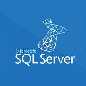 Microsoft SQL Server Standard 2019 SNGL OLP NL